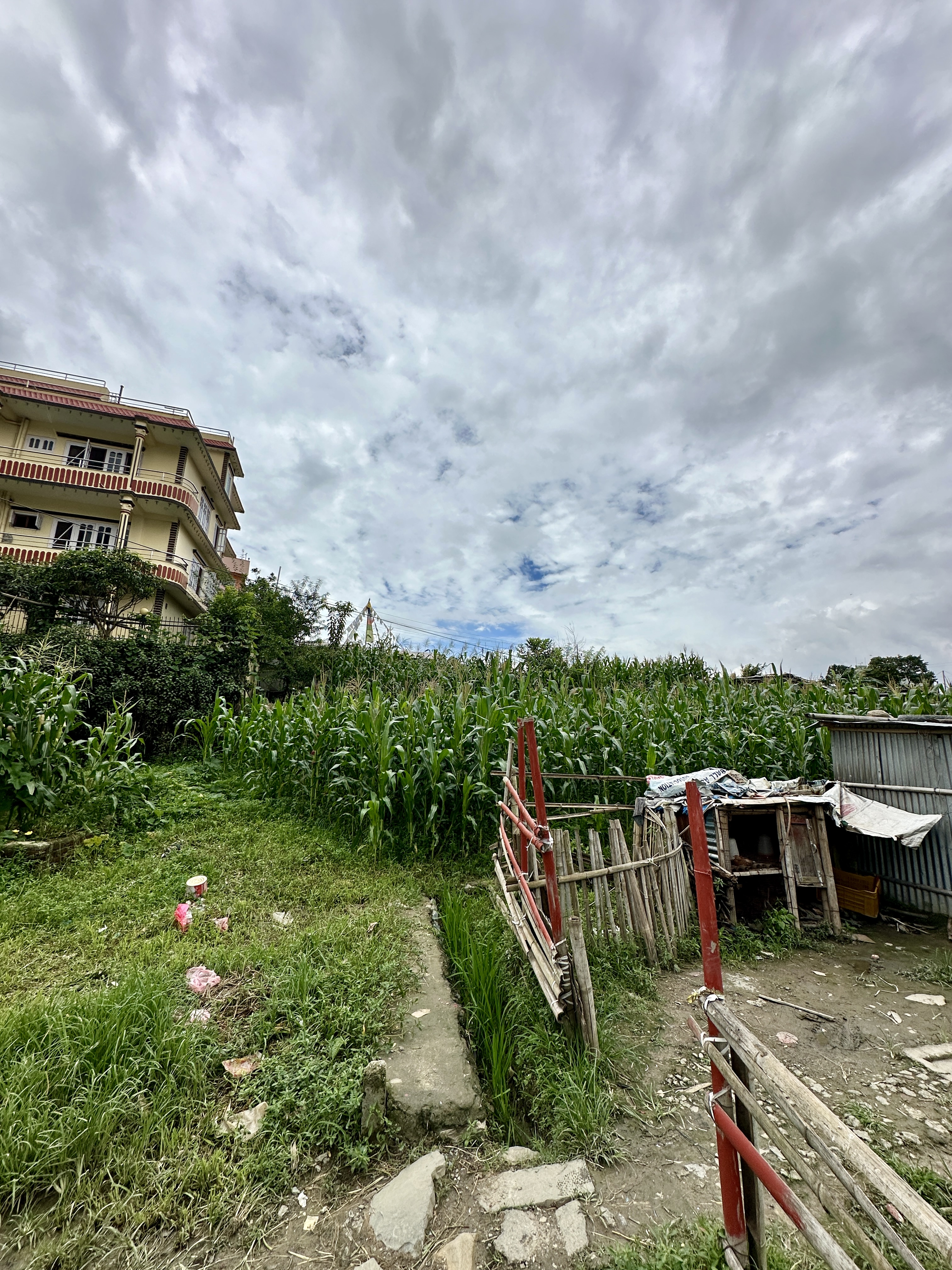Picture of Kirtipur Municipality, Bagmati